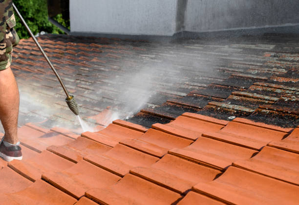 Best Roof Pressure Washing  in Sumter, SC